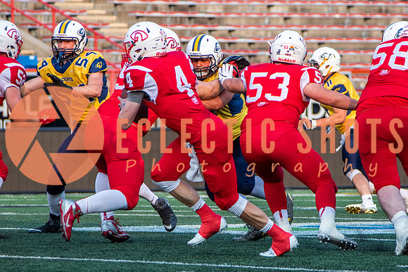 CalgaryColts-2618