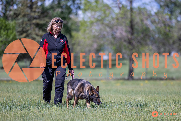 2025-K9Force-MayExams-Kaia-7544