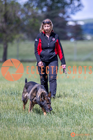 2025-K9Force-MayExams-Kaia-7496