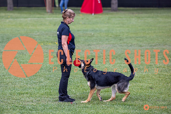2025-K9Force-MayExams-6274