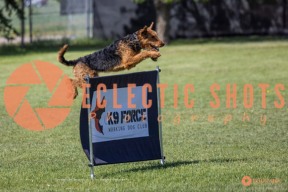 2025-K9Force-MayExams-7379