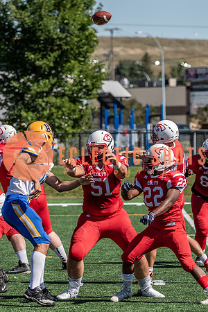 CalgaryColts2021-7601