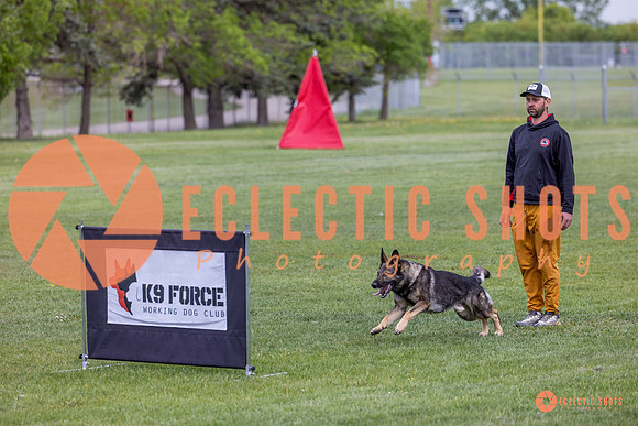 2025-K9Force-MayExams-5813