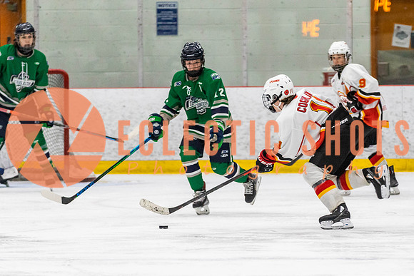 2022.11.09CalFlames-FVTBirds-0485