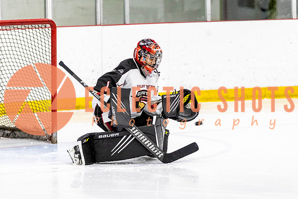 2022.11.09VWGiants-Winnipeg-0301