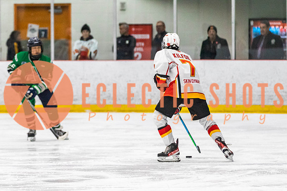 2022.11.09CalFlames-FVTBirds-0460
