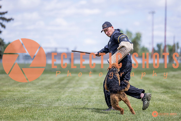 2025-K9Force-MayExams-7797