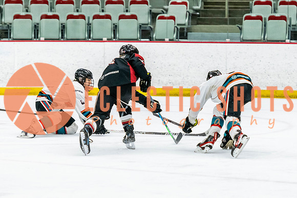 2022.11.12OkRockets-VWGiants-4932