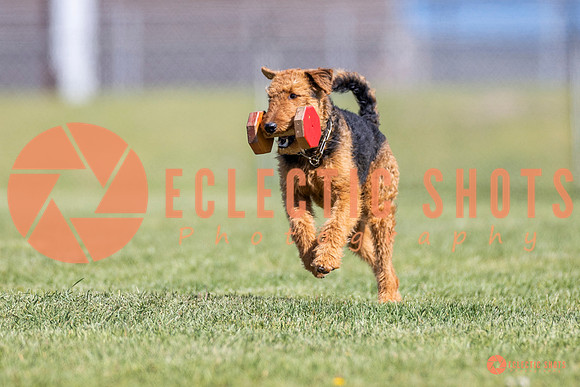 2025-K9Force-MayExams-8353