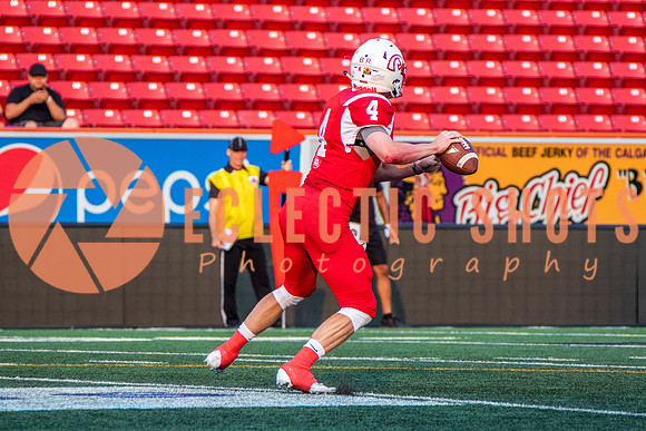 CalgaryColts-2623