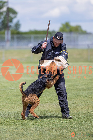 2025-K9Force-MayExams-7833