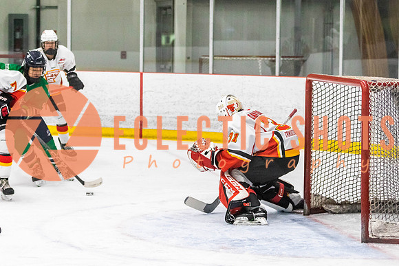 2022.11.09CalFlames-FVTBirds-0261
