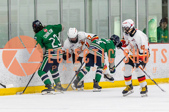 2022.11.09CalFlames-FVTBirds-0370