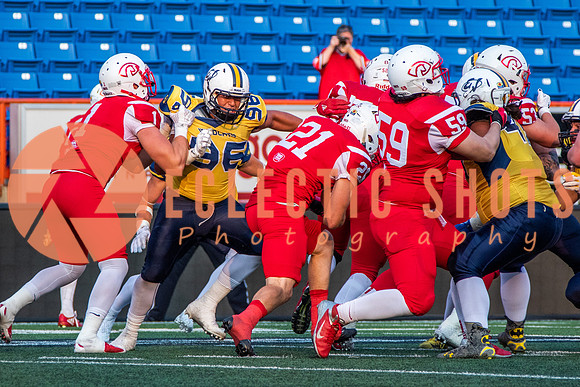 CalgaryColts-2630