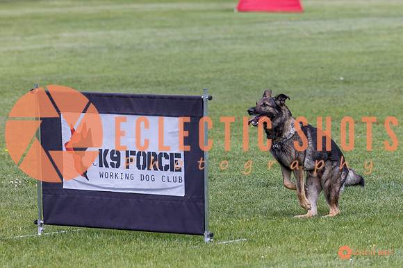 2025-K9Force-MayExams-5817