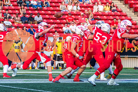 CalgaryColts-2604