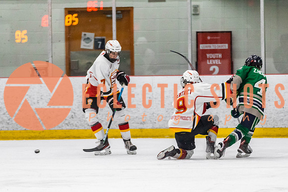 2022.11.09CalFlames-FVTBirds-0457