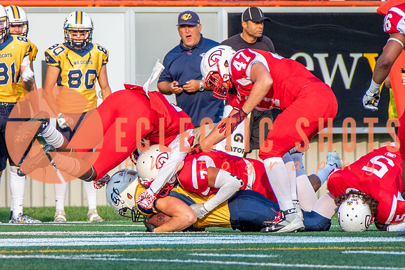 CalgaryColts-2447