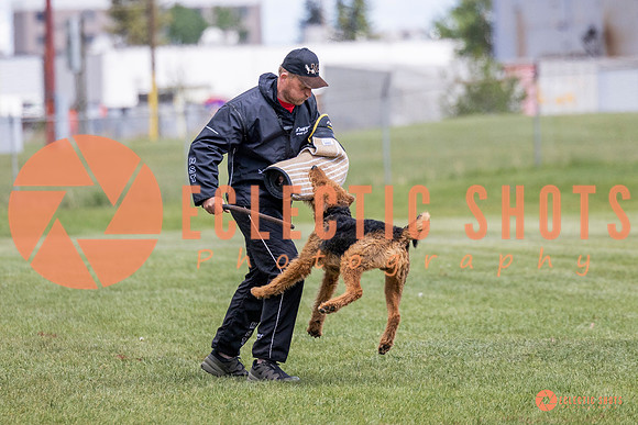 2025-K9Force-MayExams-7854