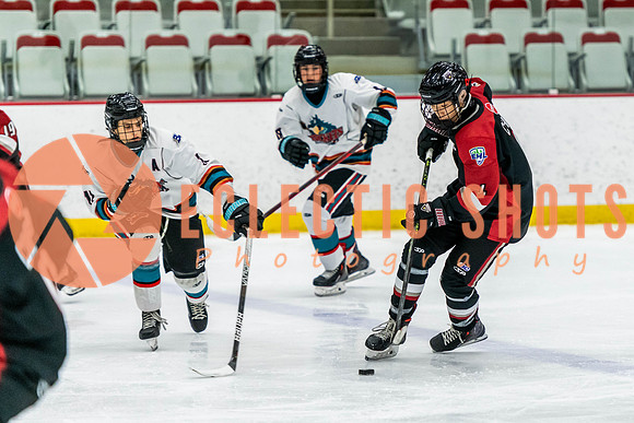 2022.11.12OkRockets-VWGiants-5022