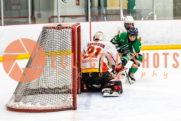 2022.11.09CalFlames-FVTBirds-0525