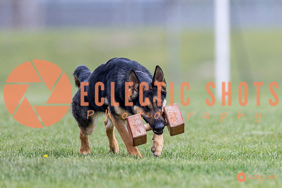 2025-K9Force-MayExams-7061