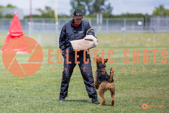 2025-K9Force-MayExams-7822