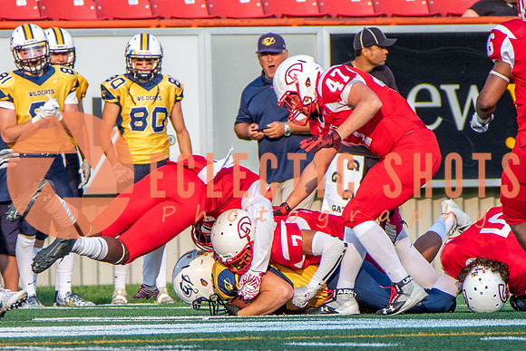 CalgaryColts-2448