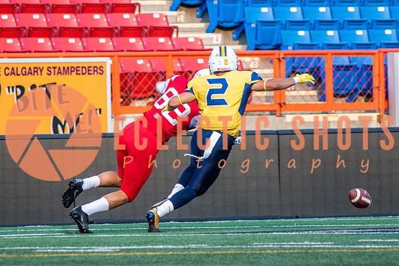CalgaryColts-2569