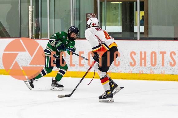 2022.11.09CalFlames-FVTBirds-0301
