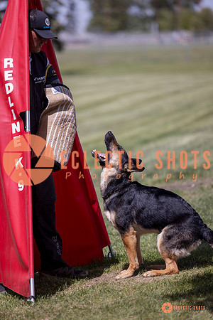 2025-K9Force-MayExams-7173