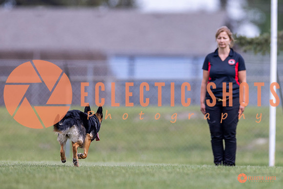 2025-K9Force-MayExams-7023