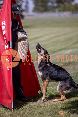 2025-K9Force-MayExams-7175