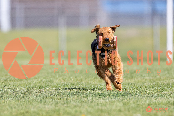 2025-K9Force-MayExams-8344
