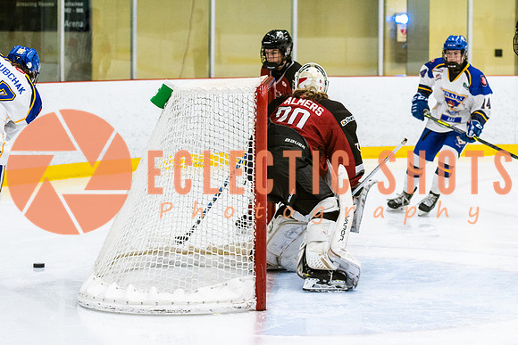 RMC2021-11-13-CalRoyals-VWGiants-7502
