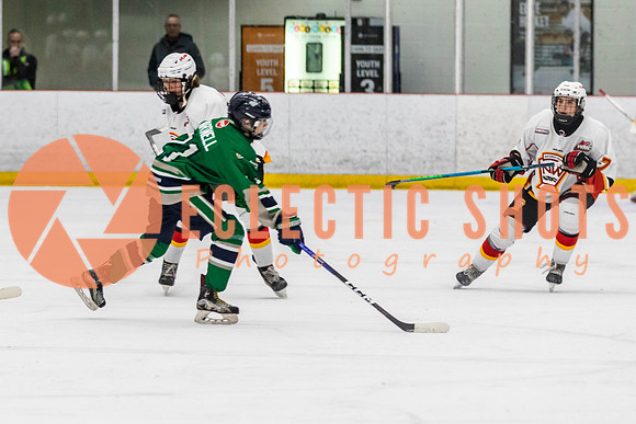 2022.11.09CalFlames-FVTBirds-0435