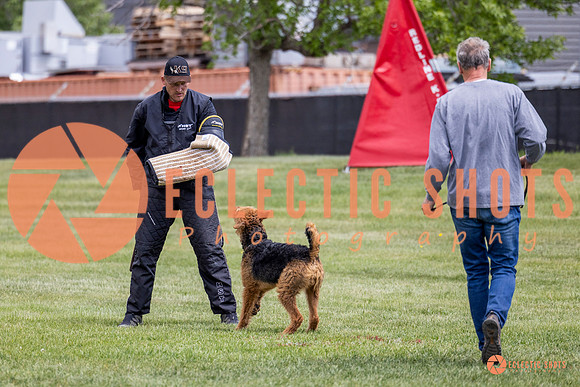 2025-K9Force-MayExams-7860