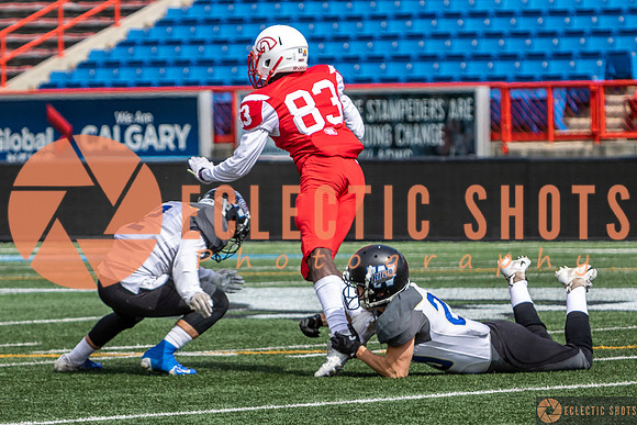 2019CalgaryColts-0207