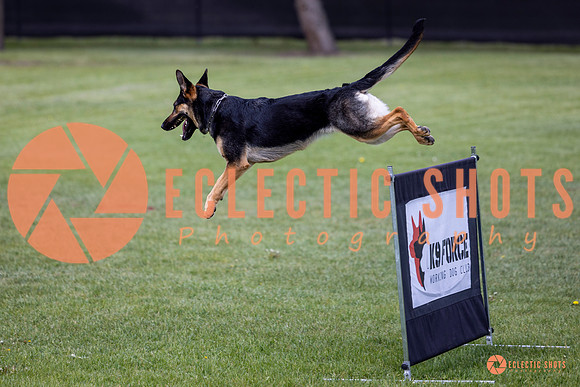2025-K9Force-MayExams-6157
