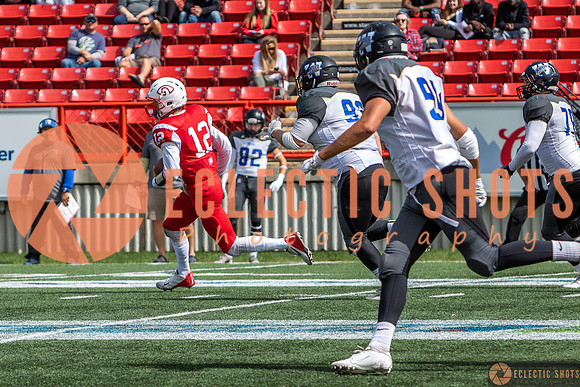 2019CalgaryColts-0275