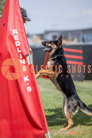 2025-K9Force-MayExams-7189