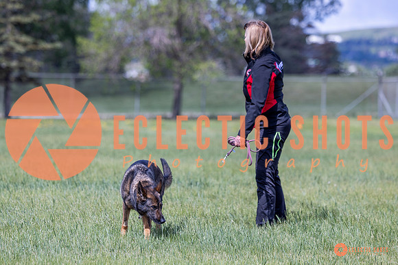 2025-K9Force-MayExams-Kaia-7500