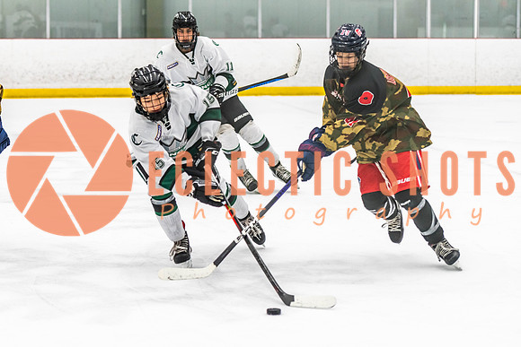 2022.11.11ShPkFlyers-VWGiants-3267