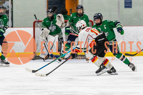 2022.11.09CalFlames-FVTBirds-0489