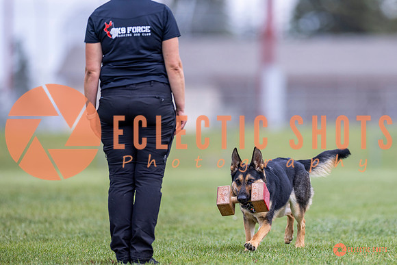 2025-K9Force-MayExams-7095