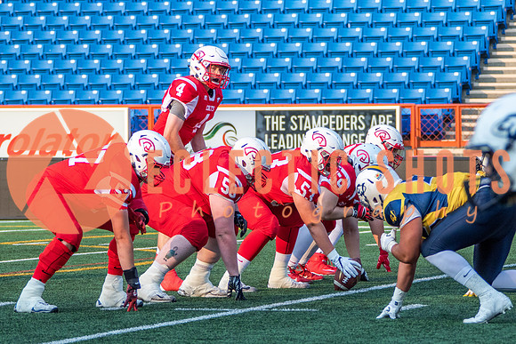 CalgaryColts-2506