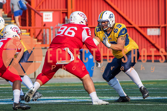 CalgaryColts-2442
