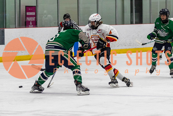 2022.11.09CalFlames-FVTBirds-0388