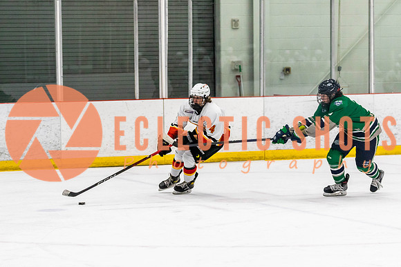 2022.11.09CalFlames-FVTBirds-0399
