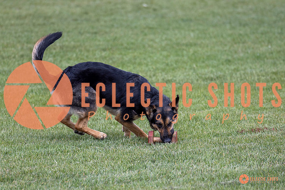 2025-K9Force-MayExams-6220